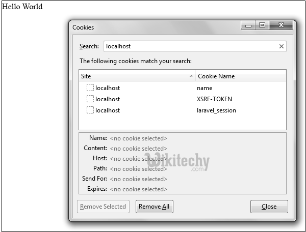  laravel cookie output